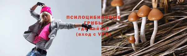 2c-b Алзамай