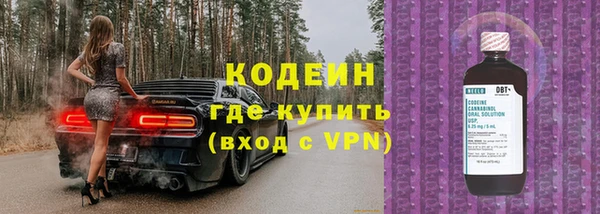 прущие грибы Ростов