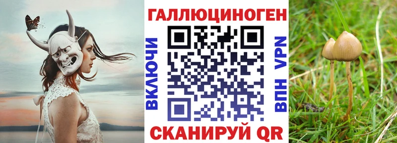Псилоцибиновые грибы прущие грибы  Белоозёрский 